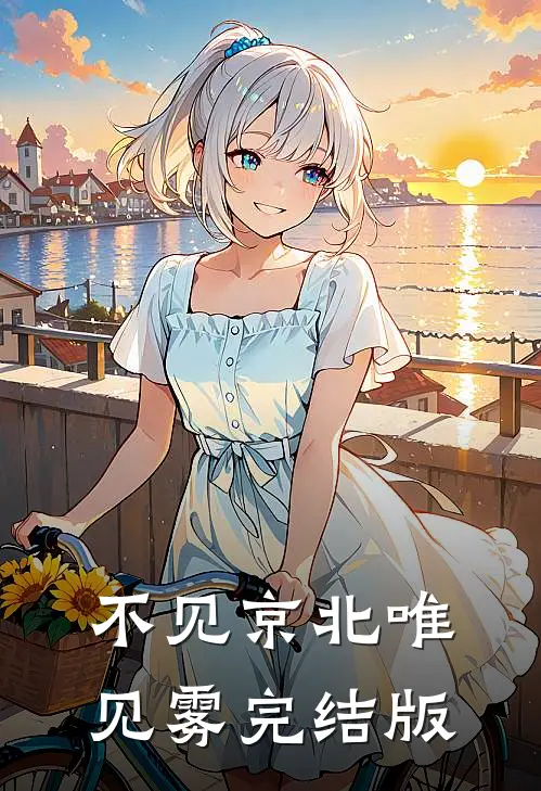 不见京北唯见雾完结版