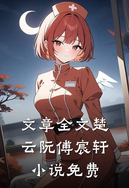 文章全文楚云阮傅宸轩小说免费