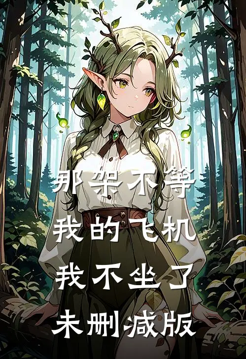 那架不等我的飞机，我不坐了未删减版