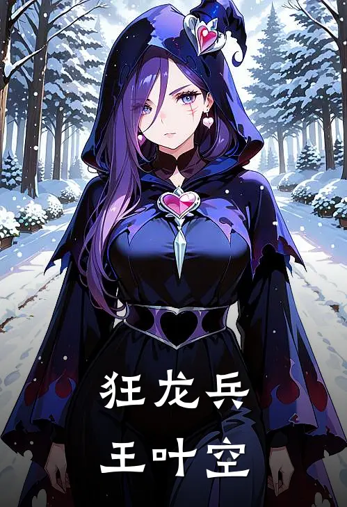 狂龙兵王叶空