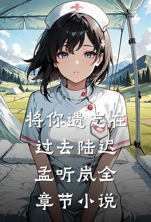 将你遗忘在过去陆迟孟听岚全章节小说
