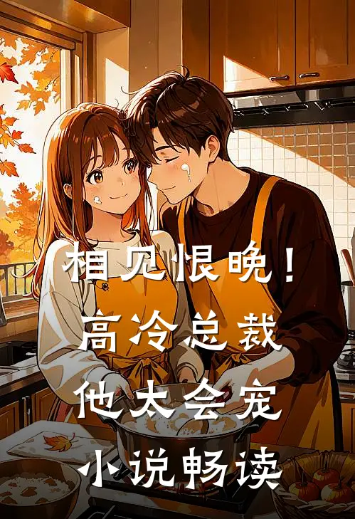相见恨晚！高冷总裁他太会宠小说畅读