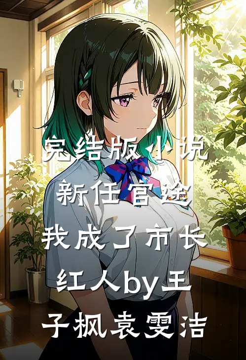 完结版小说新任官途，我成了市长红人by王子枫袁雯洁