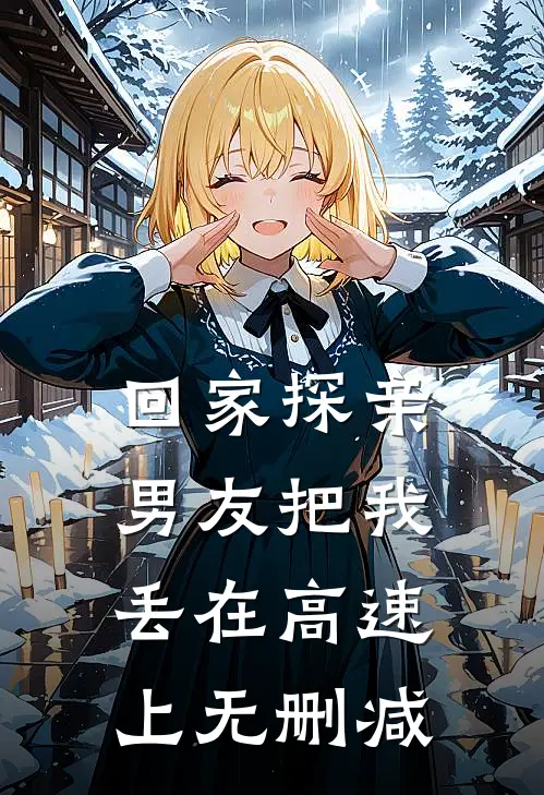 回家探亲，男友把我丢在高速上无删减
