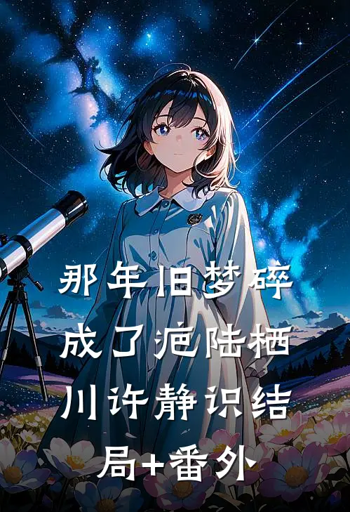 那年旧梦碎成了疤陆栖川许静识结局+番外