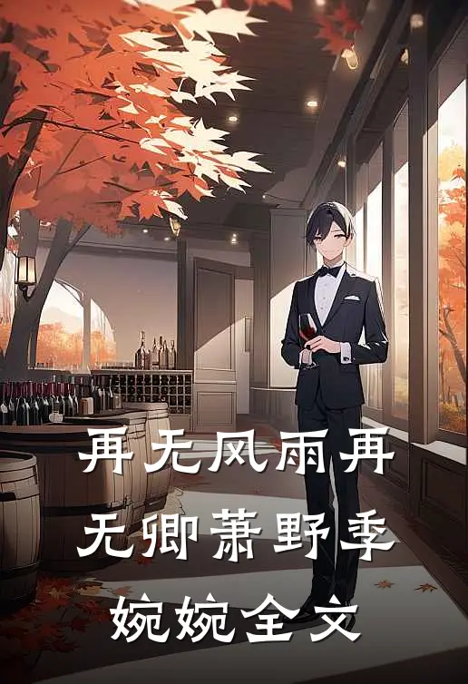 再无风雨再无卿萧野季婉婉全文