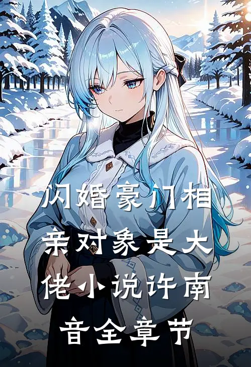闪婚豪门相亲对象是大佬小说许南音全章节