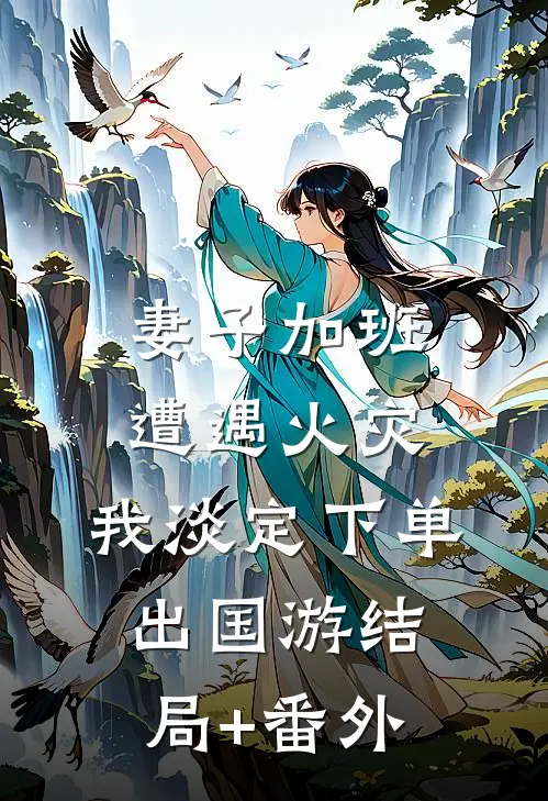 妻子加班遭遇火灾，我淡定下单出国游结局+番外