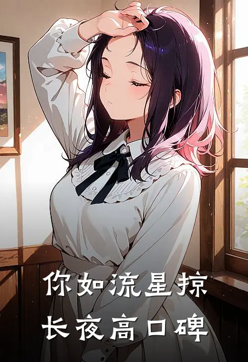 你如流星掠长夜高口碑
