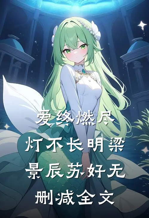 爱终燃尽，灯不长明梁景辰苏好无删减全文