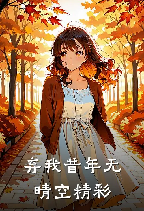 弃我昔年无晴空精彩