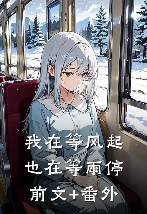 我在等风起，也在等雨停前文+番外