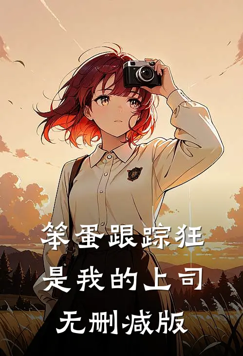 笨蛋跟踪狂是我的上司无删减版
