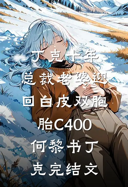 丁克十年，总裁老婆迎回白皮双胞胎C400何黎书丁克完结文
