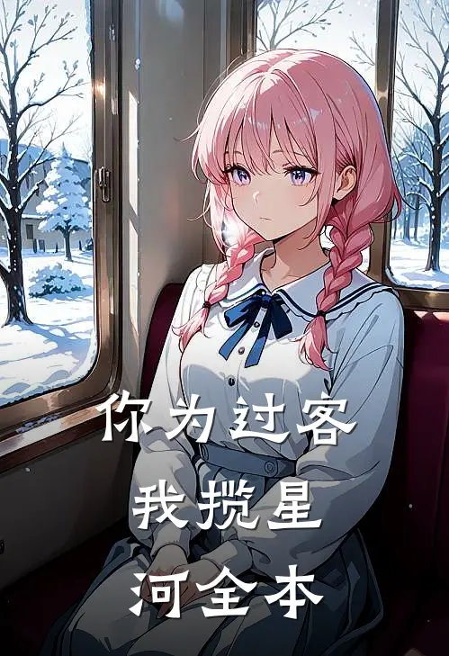 你为过客，我揽星河全本