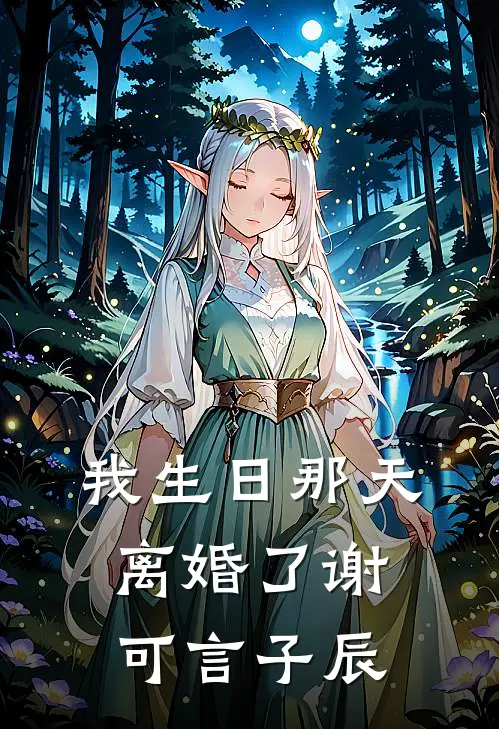 我生日那天，离婚了谢可言子辰