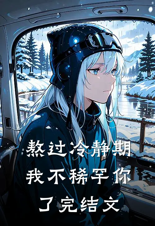 熬过冷静期，我不稀罕你了完结文