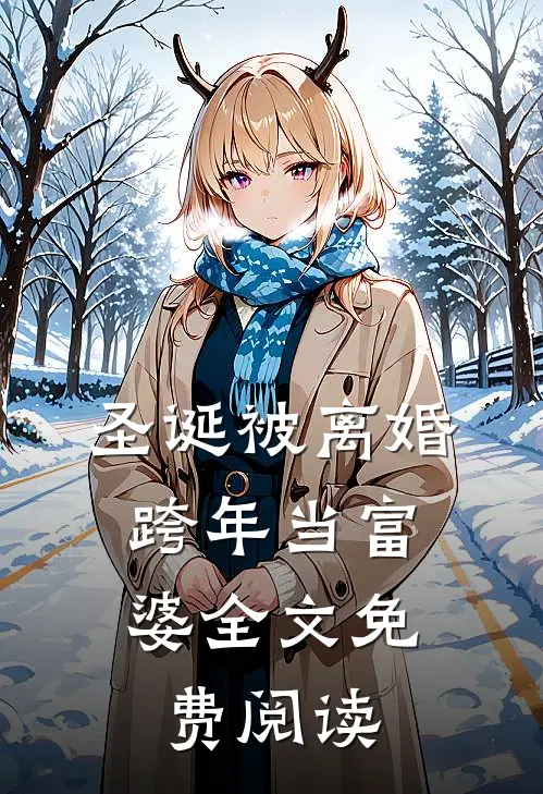 圣诞被离婚，跨年当富婆全文免费阅读
