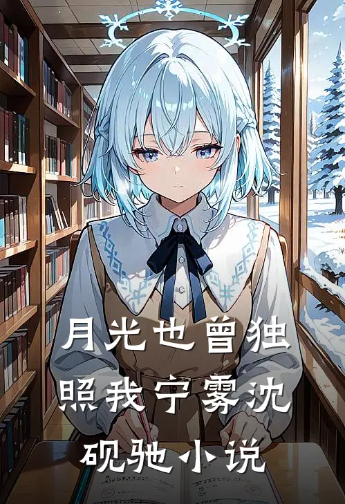 月光也曾独照我宁雾沈砚驰小说