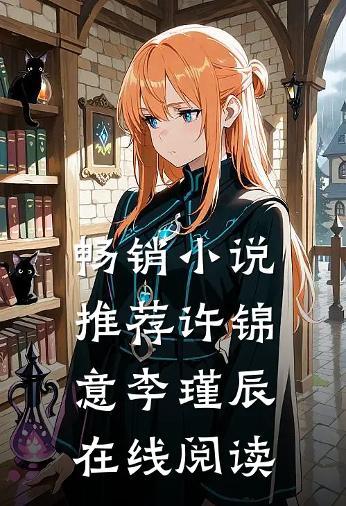 畅销小说推荐许锦意李瑾辰在线阅读
