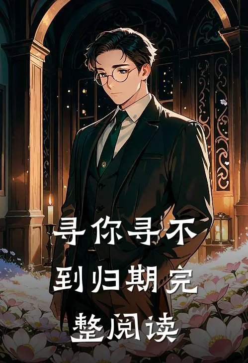 寻你寻不到归期完整阅读