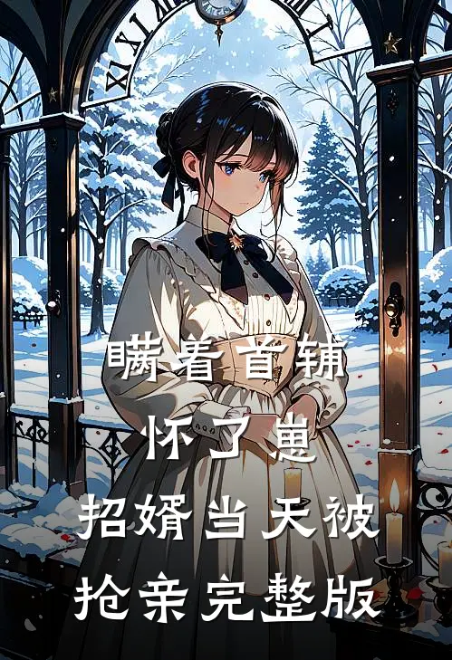 瞒着首辅怀了崽，招婿当天被抢亲完整版
