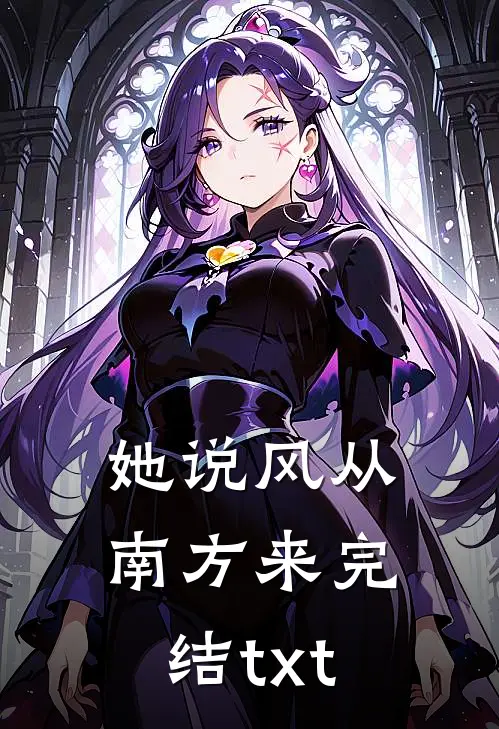 她说风从南方来完结txt