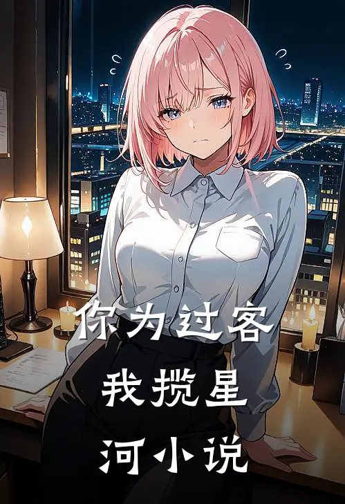 你为过客，我揽星河小说