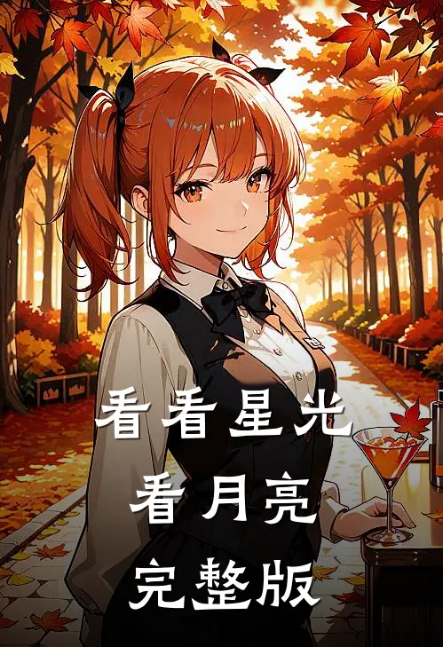 看看星光，看月亮完整版