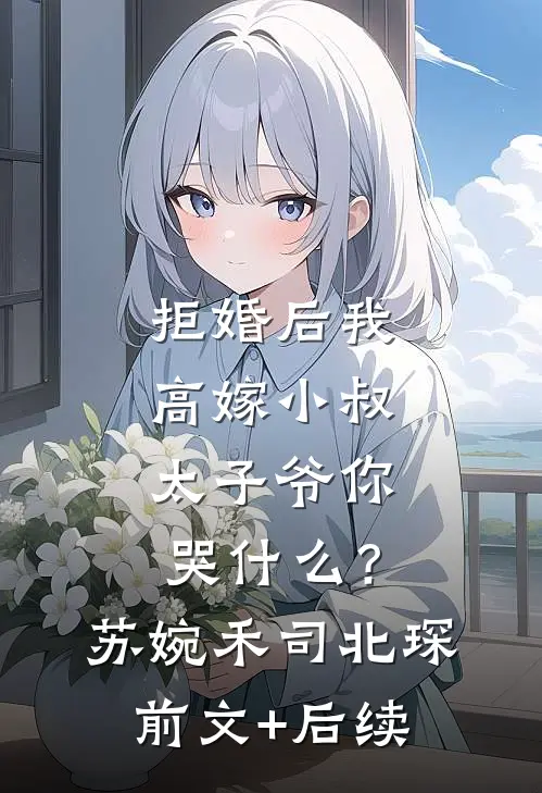 拒婚后我高嫁小叔，太子爷你哭什么？苏婉禾司北琛前文+后续
