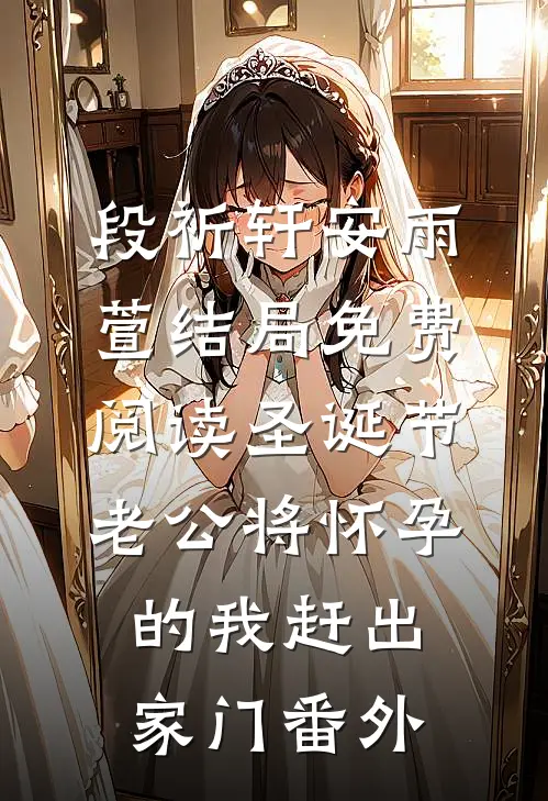 段祈轩安雨萱结局免费阅读圣诞节，老公将怀孕的我赶出家门番外