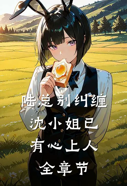 陆总别纠缠，沈小姐已有心上人全章节