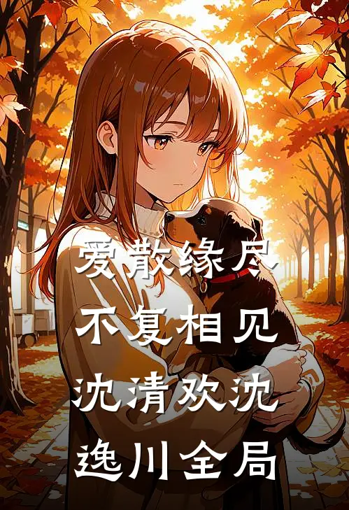爱散缘尽，不复相见沈清欢沈逸川全局