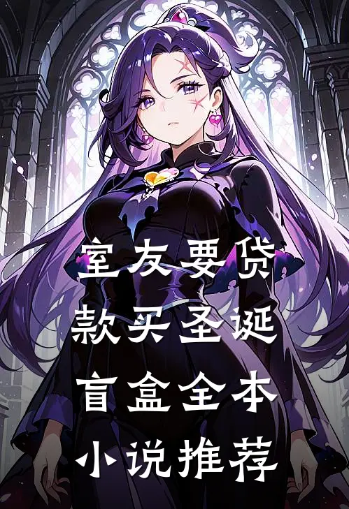 室友要贷款买圣诞盲盒全本小说推荐