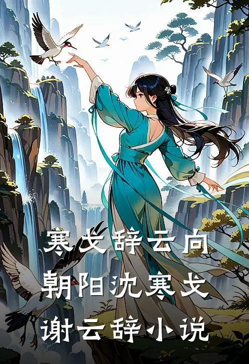 寒戈辞云向朝阳沈寒戈谢云辞小说