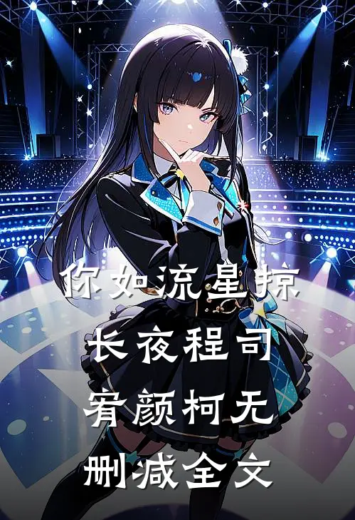 你如流星掠长夜程司宥颜柯无删减全文
