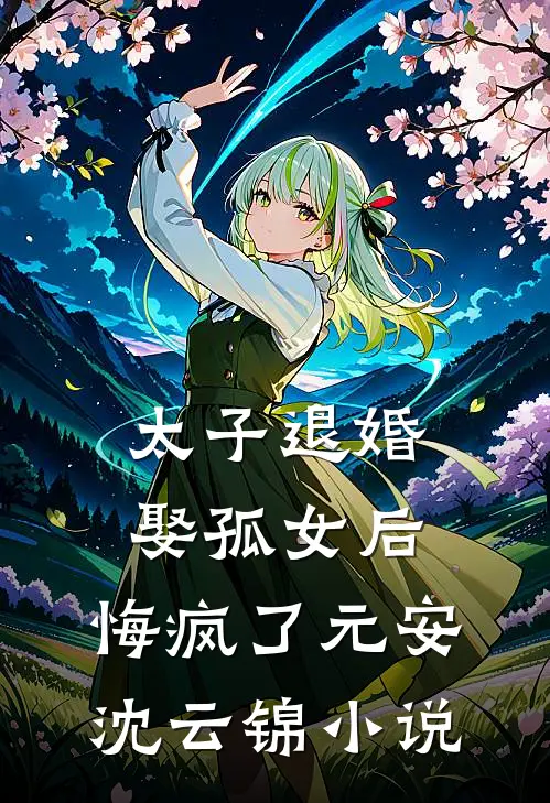 太子退婚娶孤女后，悔疯了元安沈云锦小说