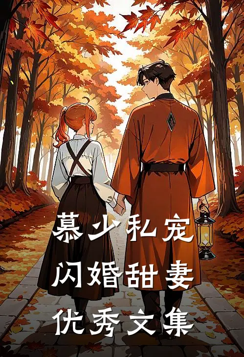 慕少私宠闪婚甜妻优秀文集