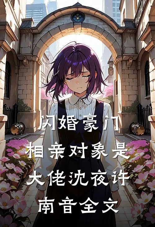 闪婚豪门：相亲对象是大佬沈夜许南音全文