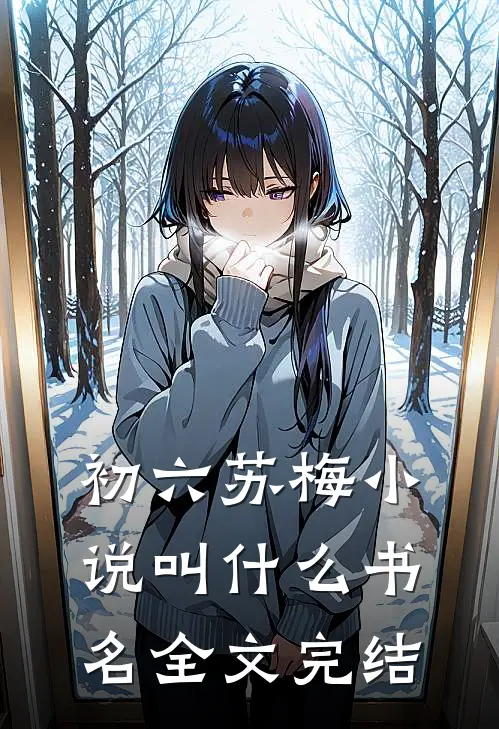初六苏梅小说叫什么书名全文完结