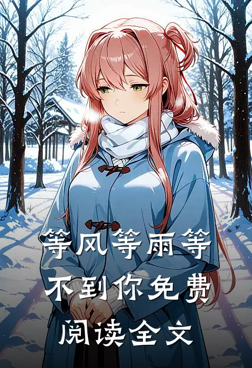 等风等雨等不到你免费阅读全文