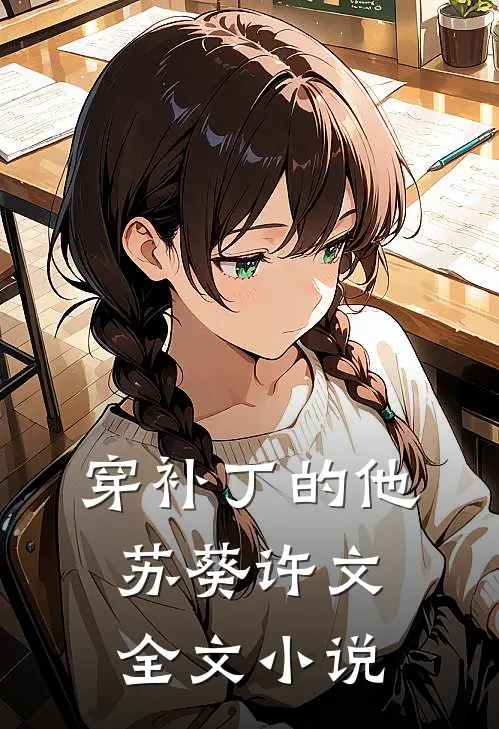 穿补丁的他苏葵许文全文小说