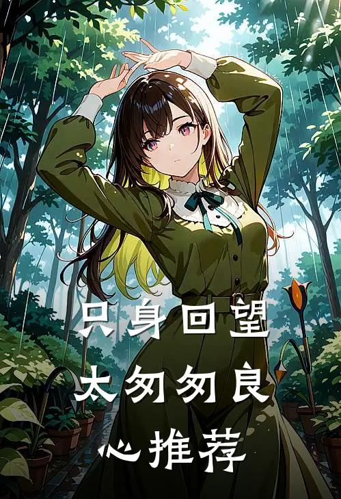 只身回望太匆匆良心推荐