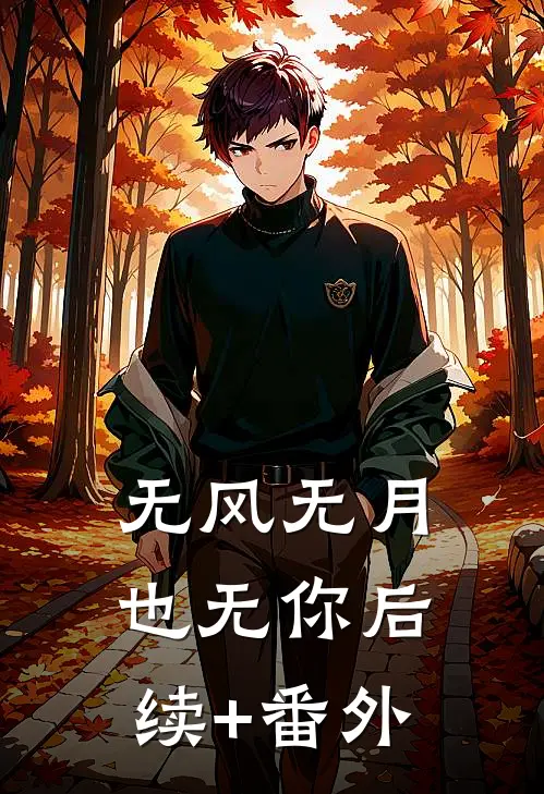 无风无月也无你后续+番外