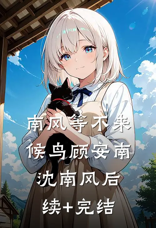 南风等不来候鸟顾安南沈南风后续+完结