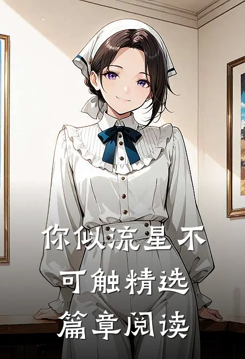 你似流星不可触精选篇章阅读