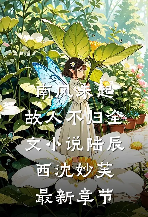 南风未起，故人不归全文小说陆辰西沈妙芙最新章节