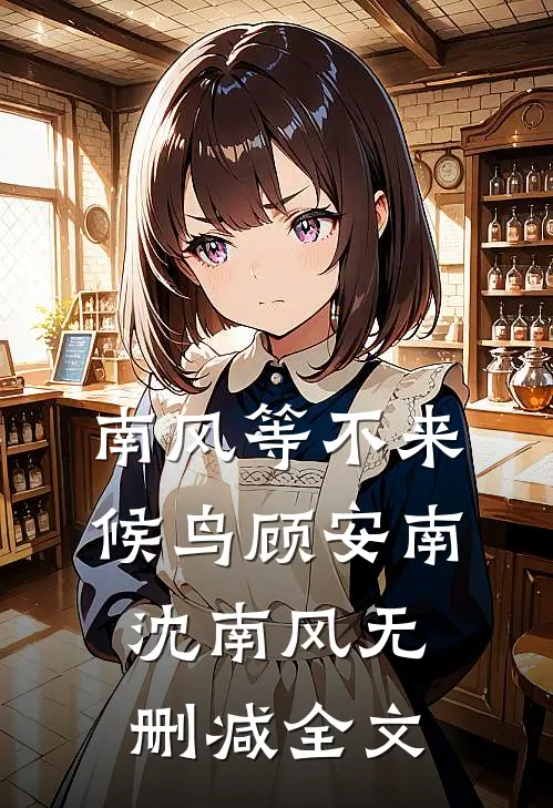 南风等不来候鸟顾安南沈南风无删减全文