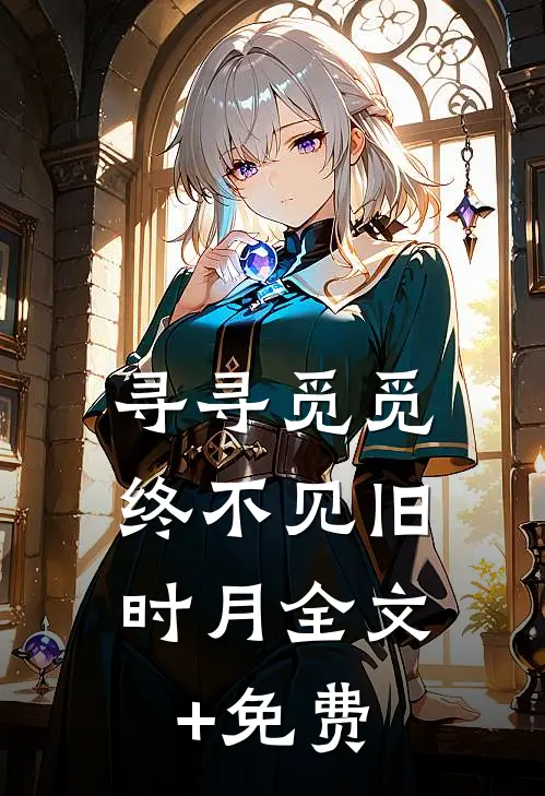 寻寻觅觅，终不见旧时月全文+免费