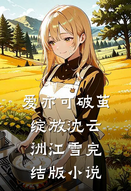爱亦可破茧绽放沈云洲江雪完结版小说
